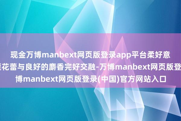 现金万博manbext网页版登录app平台柔好意思的铃兰花香和黑醋栗花蕾与良好的麝香完好交融-万博manbext网页版登录(中国)官方网站入口
