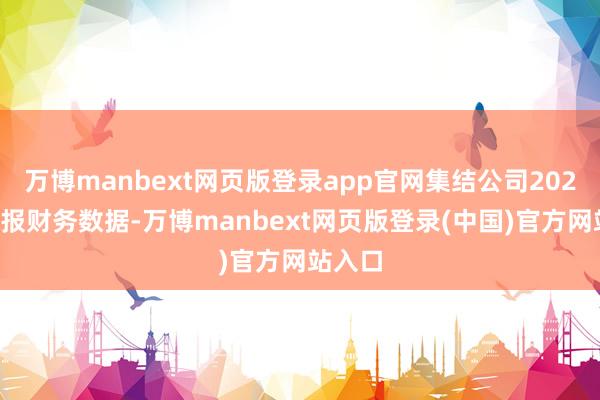 万博manbext网页版登录app官网集结公司2024年年报财务数据-万博manbext网页版登录(中国)官方网站入口