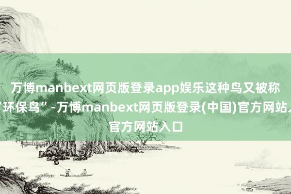 万博manbext网页版登录app娱乐这种鸟又被称为“环保鸟”-万博manbext网页版登录(中国)官方网站入口