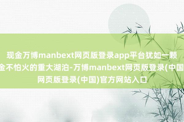 现金万博manbext网页版登录app平台犹如一颗石子过问锤真金不怕火的重大湖泊-万博manbext网页版登录(中国)官方网站入口