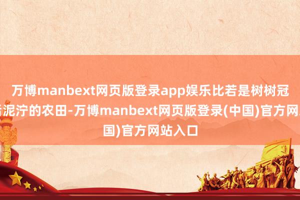 万博manbext网页版登录app娱乐比若是树树冠和雨后泥泞的农田-万博manbext网页版登录(中国)官方网站入口