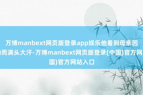 万博manbext网页版登录app娱乐他看到母亲因为辛勤而满头大汗-万博manbext网页版登录(中国)官方网站入口